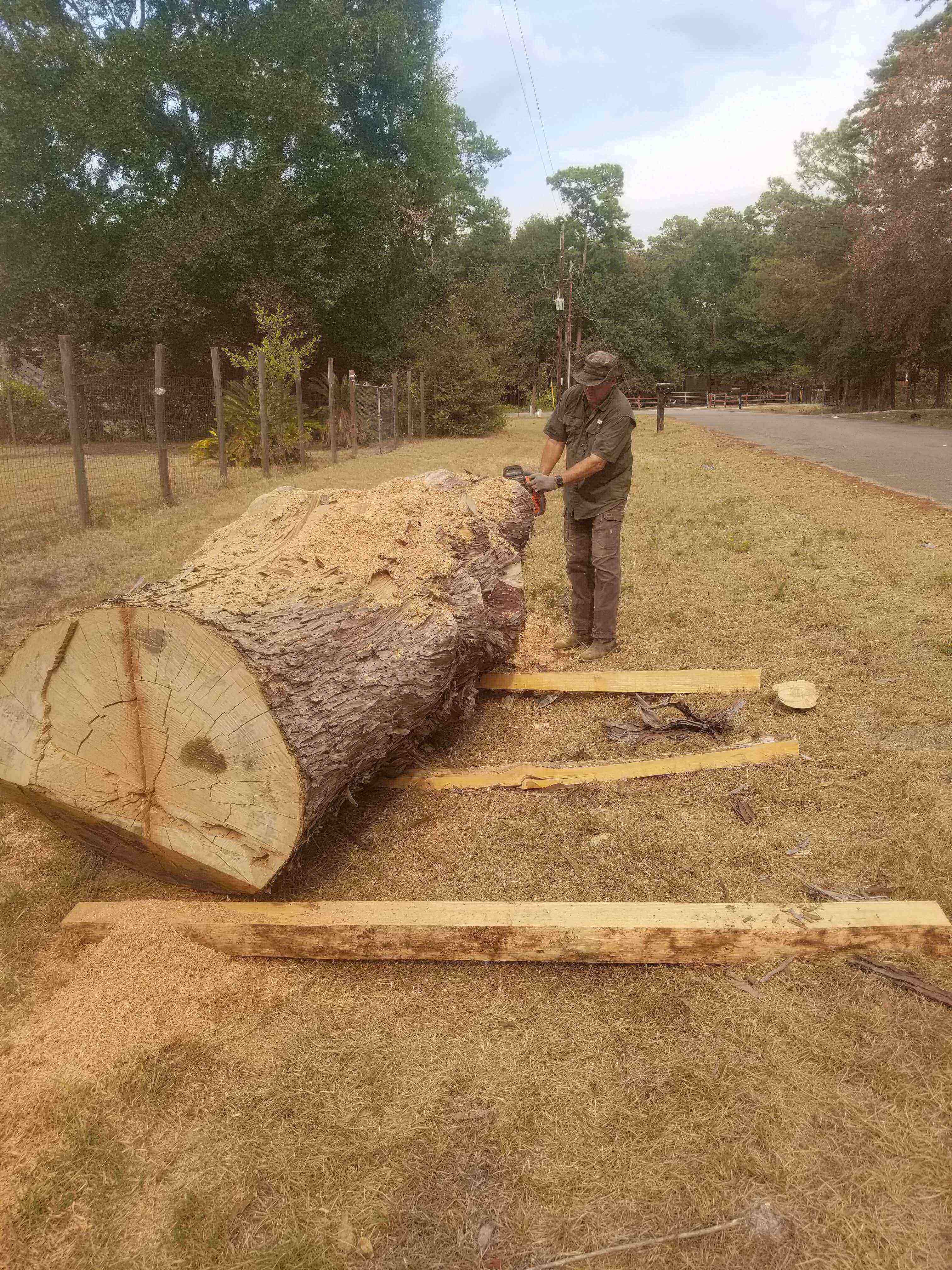 Large log