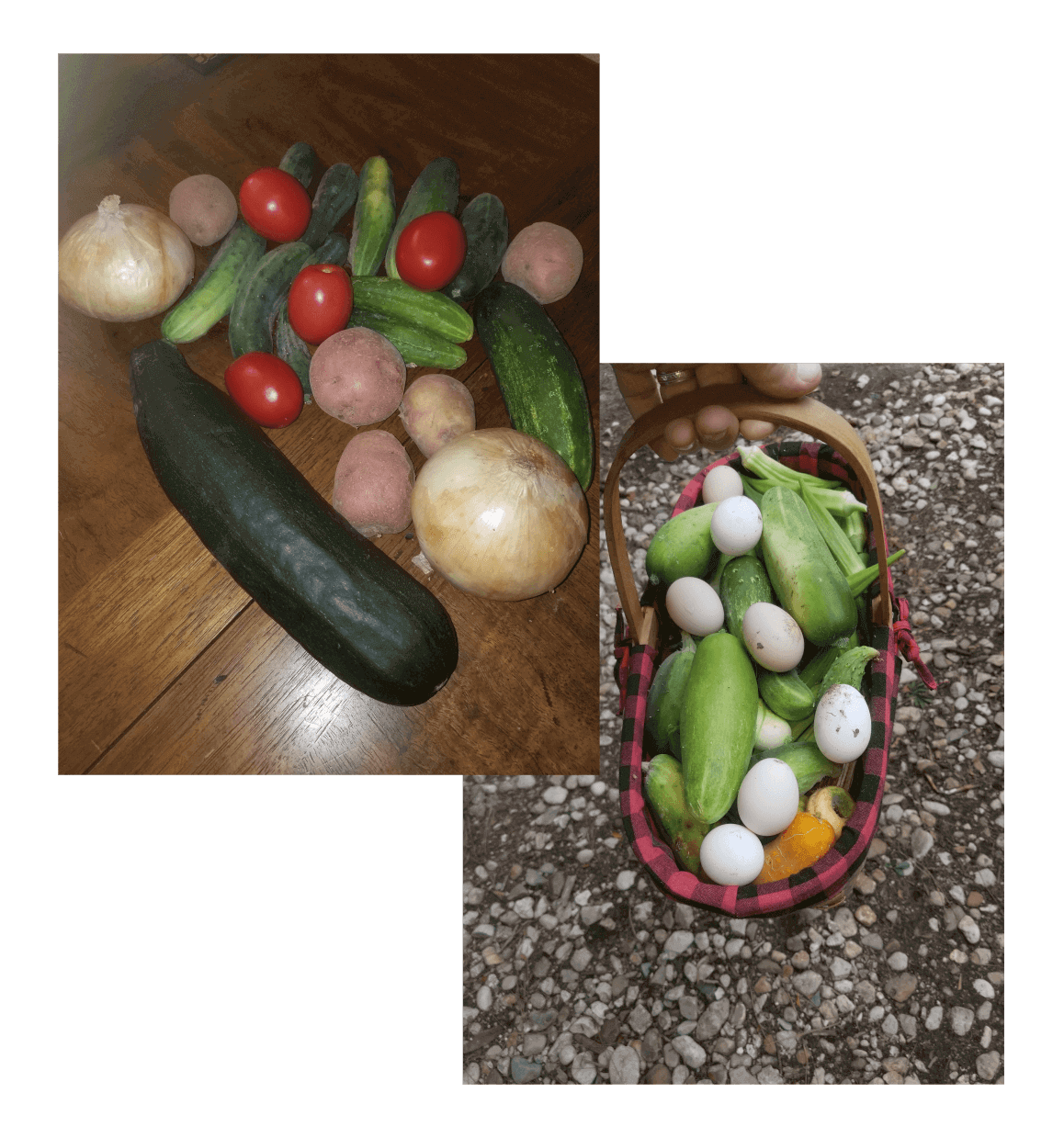 Basket of vegetables and eggs